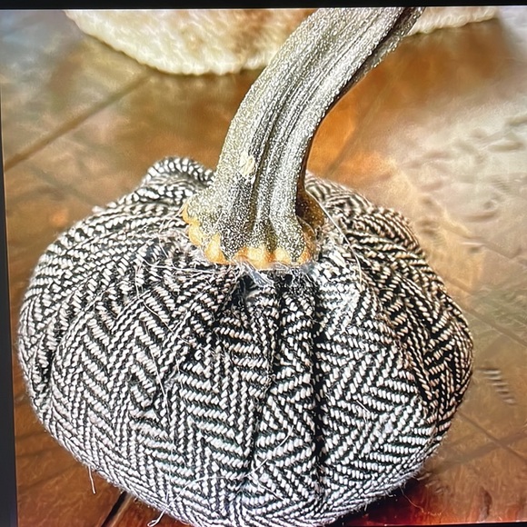 Pumpkin handmade w/real pumpkin stems - Picture 5 of 9